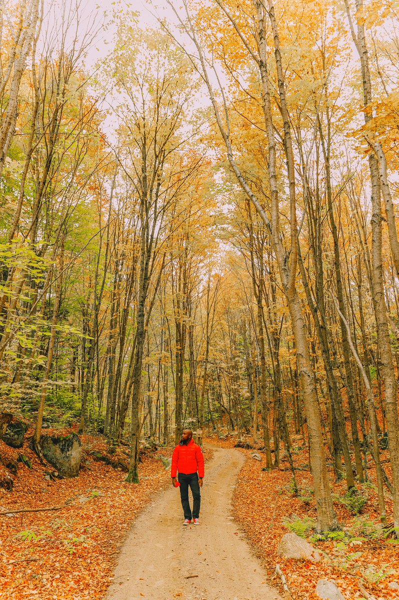 HLOBlog's tweet photo. Fall has arrived in Quebec!!! 😍🍁🍂🍁🍂

#ExploreCanada https://t.co/QbUzmdezAB