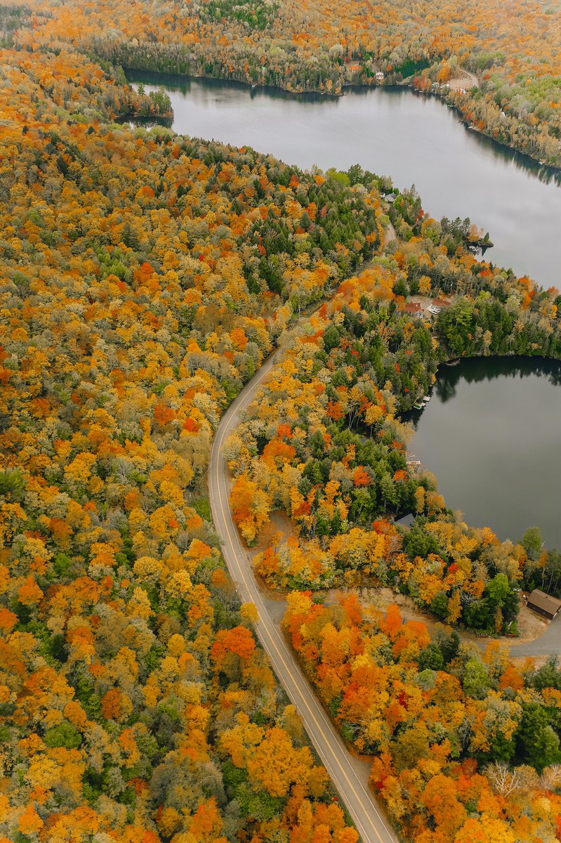 HLOBlog's tweet photo. Fall has arrived in Quebec!!! 😍🍁🍂🍁🍂

#ExploreCanada https://t.co/QbUzmdezAB