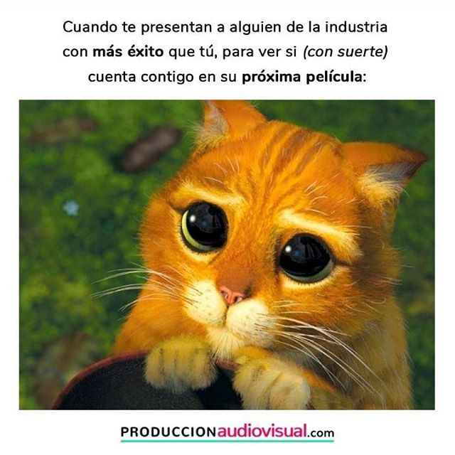 rodrigo_espinel's tweet photo. Todos lo hemos hecho alguna vez...
.
.
.
.
.#produccioncine #postproduccion #produccion #produccionaudiovisual #productor #rodajecine #rodaje #cine #setmeme https://t.co/ne4djiXbWa https://t.co/BfohlUgpN5