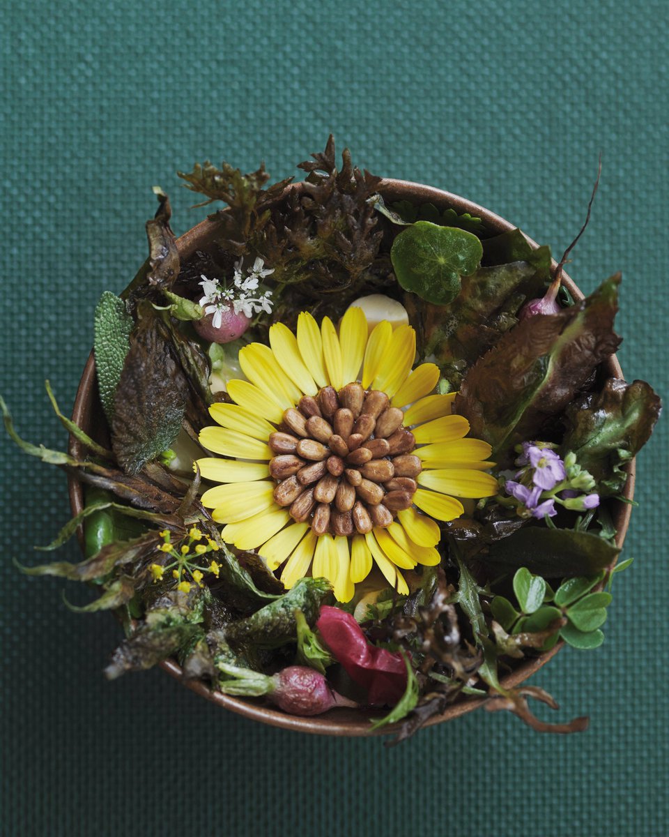 restaurant noma tweet media