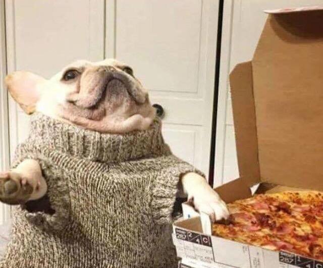 "Rosati's?! Yes please!!!"