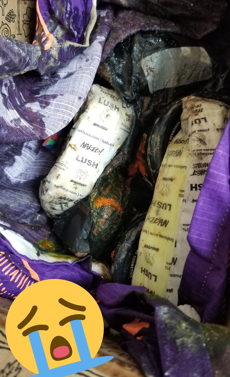 candrews9's tweet photo. A HUGE thank you to @lushcosmetics for being a class act! Full container of shampoo leaked onto our whole order, one call and a whole new shipment is on the way. #fivestar #lushforlife #classyAF https://t.co/vgvcx5Urff