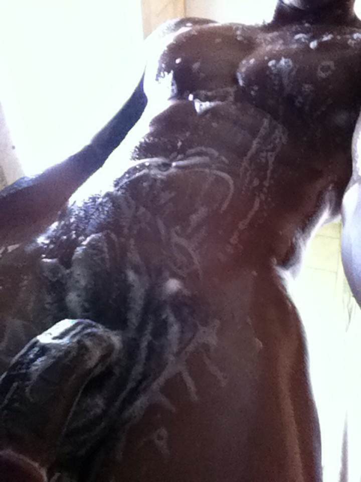 HoCock3's tweet image. 