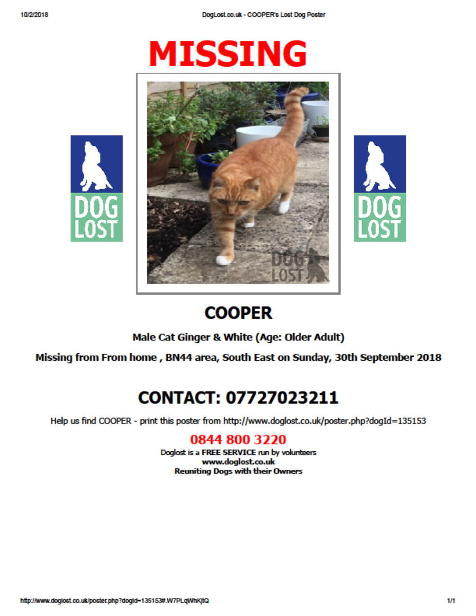 HorshamUK's tweet photo. RT @CatsMissing: STILL MISSING💔HAVE YOU SEEN ME❓
🙏#FindOurCooper Male #LostCat Vanished from home 30/9/18 Undermill Rd area Upper Beeding #Horsham BN44 #WestSussex New To Area
Ginger Older Adult Neutered Tagged Chipped #ScanMe #MissingCatsUK  
@Doglo… https://t.co/nRoQ0GLbLe