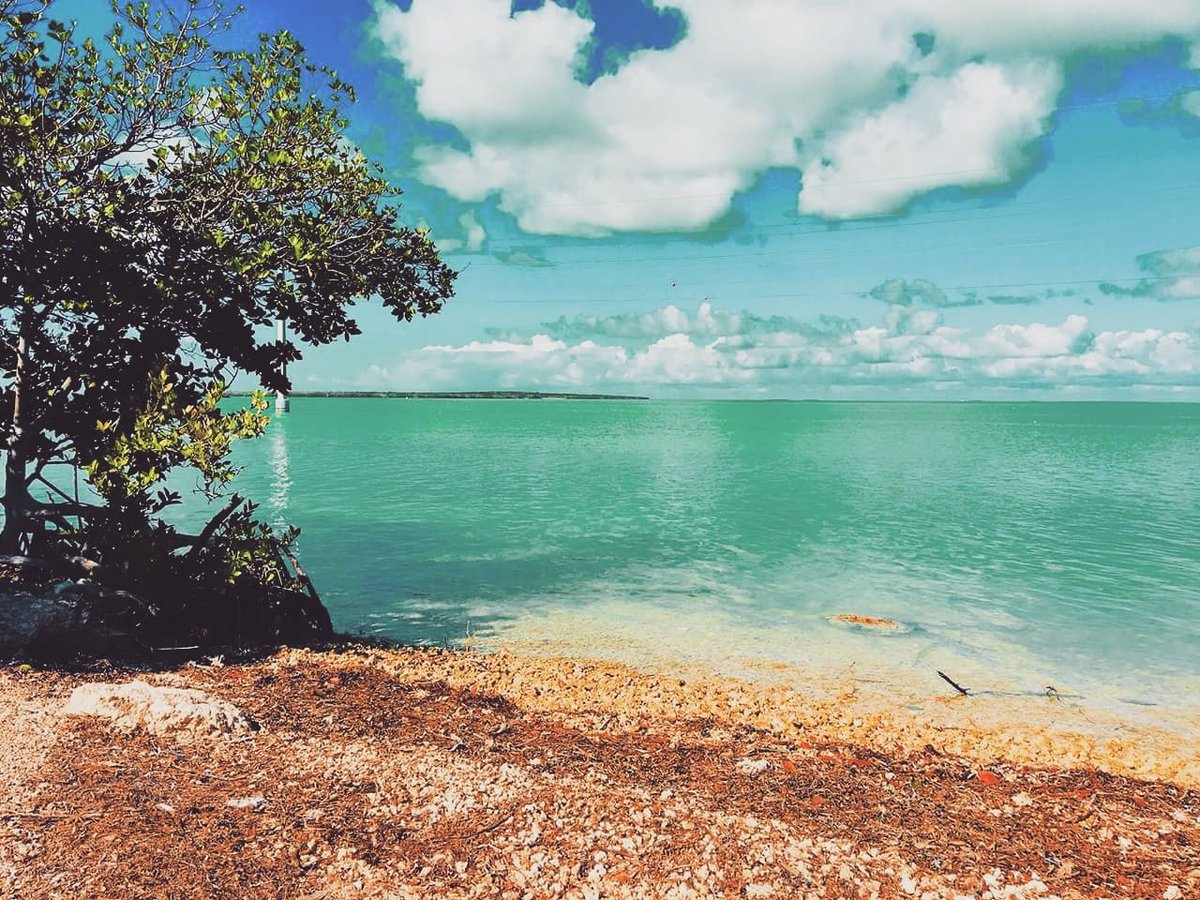 otavTravelBlog's tweet photo. Visiting the Florida Keys is always fun!
Please follow our travel blog for updates on our trips. https://t.co/zUdhXOnRPO
#OrdinaryTravelers #AmazingVacations #OrdinaryTravelersAmazingVacations #Travel #otavTravelBlog #keylargo #floridabeaches #florida https://t.co/4xBLeg0Wlr