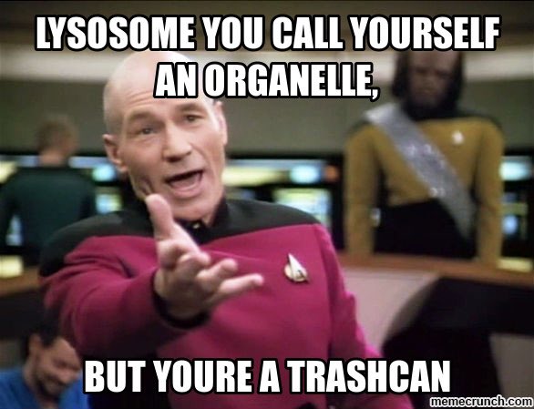SION_Nucleus's tweet photo. @ Lysosome #trash #votefornucleus #SIONOrganelle #science #roasted #burn #TuesdayThoughts #biology #oof https://t.co/LB51ZGgfvv