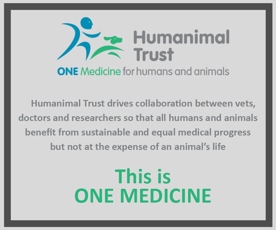 HumanimalTrust's tweet photo. We all share responsibility for creating a fairer society, with better opportunities to benefit equitably from medical progress for humans and animals #OneMedicine https://t.co/ptiAdVGUUK