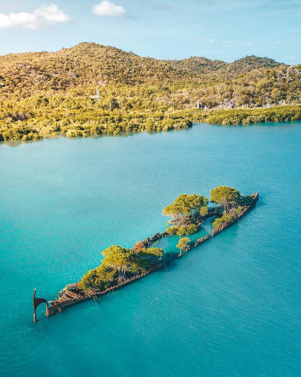 The shipwreck of #SSCityofAdelaide took the saying “becoming one with nature” quite literally 🌳🚢 

(via IG/photobohemian on <a href="/queensland/">Queensland Australia</a>’s #magneticisland) #seeaustralia