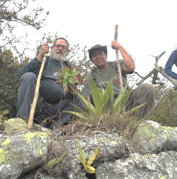Itursulogalvan's tweet photo. El ITUG participa en descubrimiento de una nueva especie de Agave para Botánica de México.

https://t.co/iU6H0hRNc5 https://t.co/7eKVsx22nn