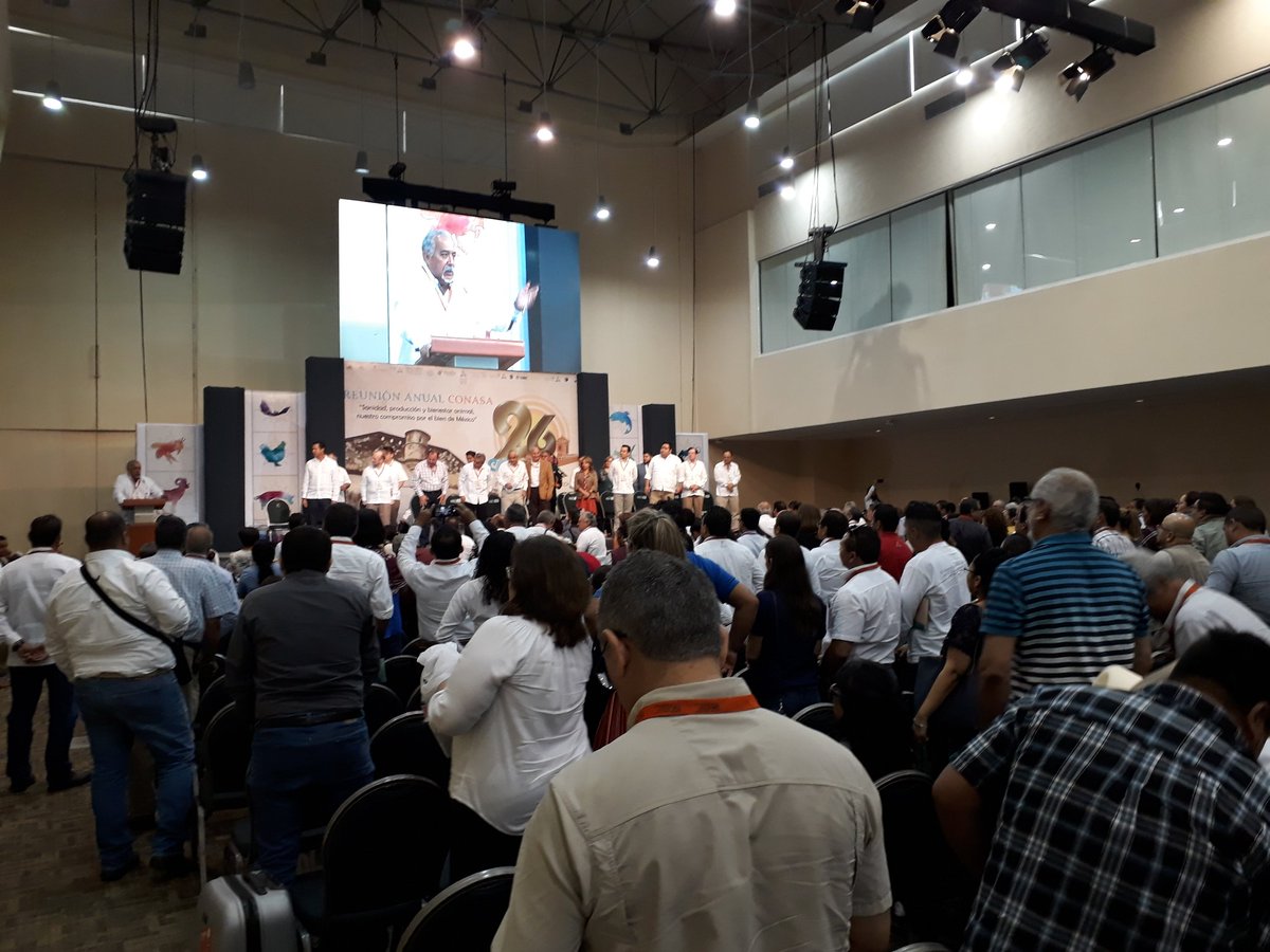 FedMVZ's tweet photo. El MVZ @mvzedmundov, Presidente de la #FedMVZ, participa en la inauguración de la 26a Reunión Anual del @conasamexico en #Campeche
#CONASA26 https://t.co/1szbBwRdDZ