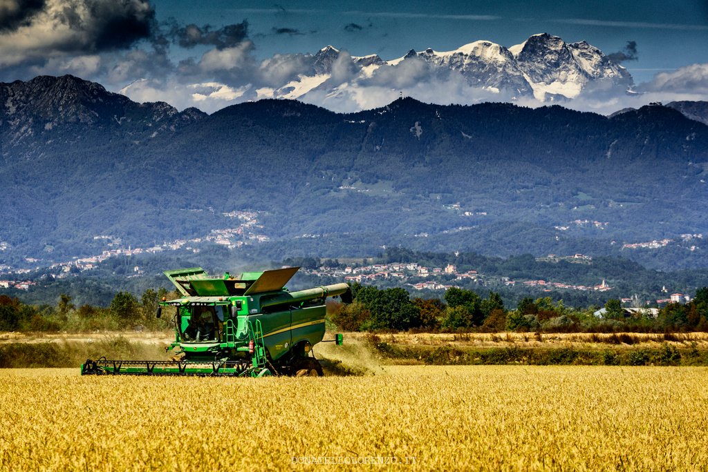 Tempo di raccolto in Baraggia! Queste ampie distese dorate porteranno sulle nostre tavole l'unico riso DOP italiano, garanzia di tracciabilità sin dal campo. #RisoBaraggia