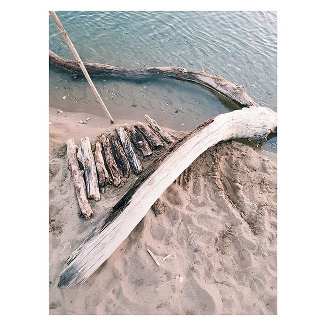 IvanaDeInno's tweet photo. Keep afloat
{Elaia, Peloponnese, August 2018}
.
.
.
.
.
#travel_greece #ig_greece #beach #peloponneso #peloponnese #greece🇬🇷 #summeringreece #greecestagram #sunsetsingreece #sunset #sunset_ig #sand #writeinthesand #elaia #ελαία #messiniagreece #messinia https://t.co/n789lt7GXH https://t.co/O4DH90YN1J