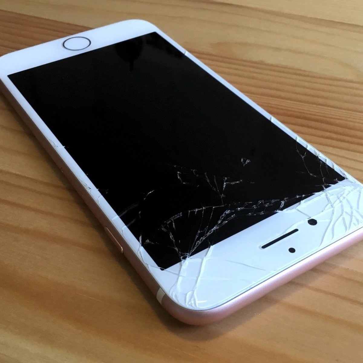 Campus Mobile Solutions tweet media