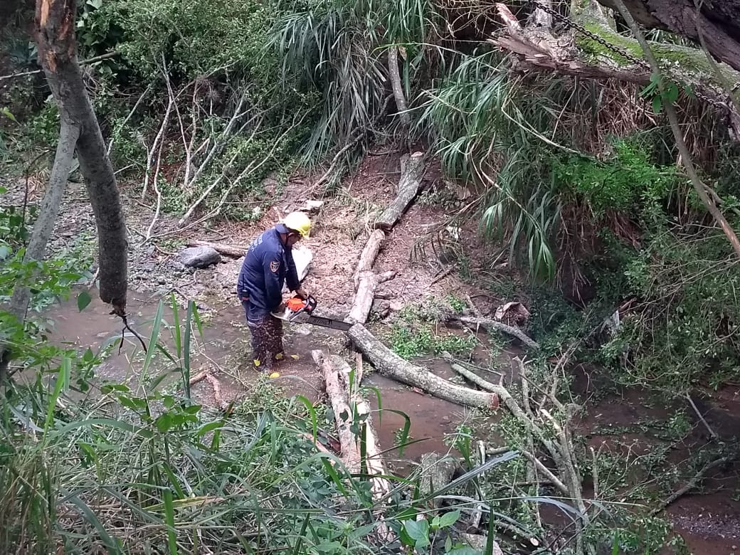 CuerpoUnion's tweet photo. Al momento se realiza corte de árbol que se encuentra sobre el cause de la Quebrada La Union, en el sitio 1 máquina extintora y 4 unidades con apoyo de la Oficina de Gestión del Riesgo con maquinaria amarilla.
@DNBomberosCol @CITELDNBC @UNGRD https://t.co/meXY0Vw7pL