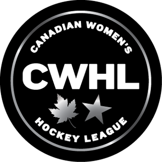 JerredBapty's tweet photo. I made my picks for @TheCWHL Top Picks Fantasy Pool and thought I'd share them with you! Get way into this season and win yourself some great prizes! Check out my picks on youtube below. What are you waiting for! #CWHL #Fantasyteam #Fantasypool #toppicks
https://t.co/MVw1X9kvJR https://t.co/XXElxgucJW