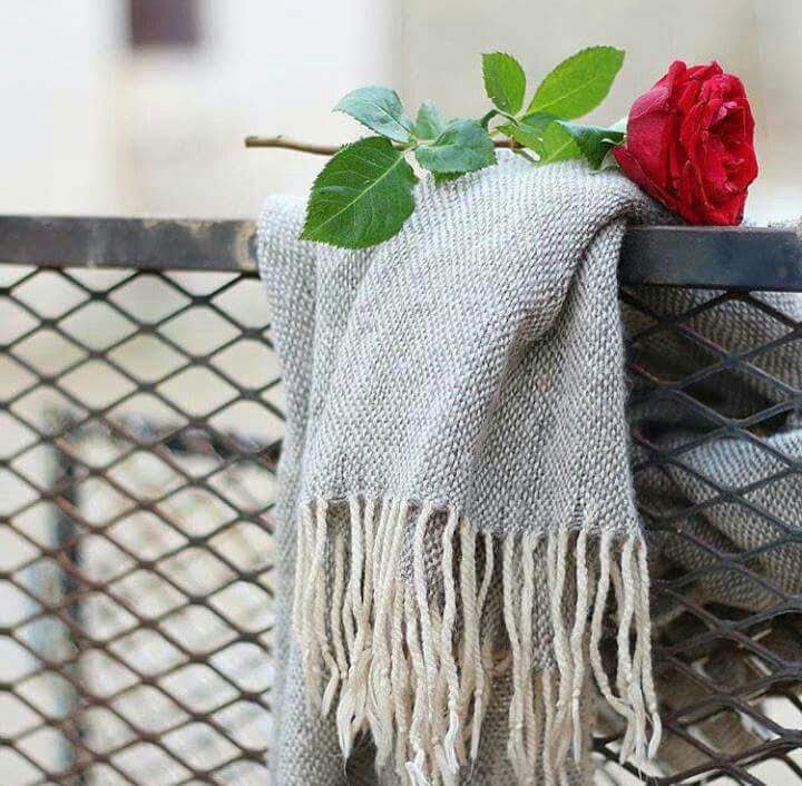 وَكَذَٰلِكَ مَكَّنَّا لِيُوسُفَ فِي الْأَرْضِ يَتَبَوَّأُ مِنْهَا حَيْثُ يَشَاءُ ۚ نُصِيبُ بِرَحْمَتِنَا مَن نَّشَاءُ ۖ وَلَا نُضِيعُ أَجْرَ الْمُحْسِنِينَ (56)صدق الله العظيم

احيانا تأتي الرحمه على شكل مصيبه في البدايه فلا تبتئس