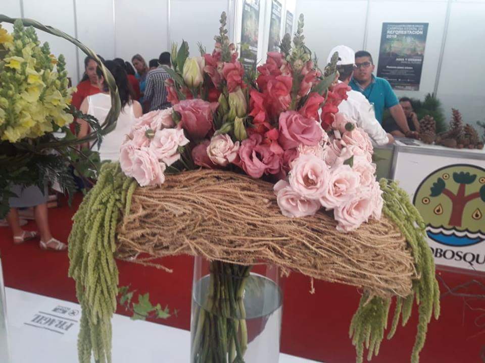 ExpoFlorVG's tweet photo. Así es como vivimos Expo Flor México 2018. ¡Gracias a todos los que hicieron posible este evento! Nos vemos el próximo año. @SAGARPA_mx, @SEDAGROedomex, @ASERCA_mx, Municipio de Villa Guerrero, @Edomex, Tecnológico De Estudios Superiores De Villa Guerrero. https://t.co/ihmXiQdyKG