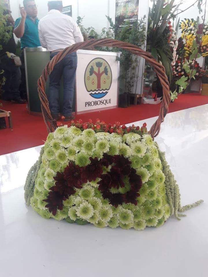 ExpoFlorVG's tweet photo. Así es como vivimos Expo Flor México 2018. ¡Gracias a todos los que hicieron posible este evento! Nos vemos el próximo año. @SAGARPA_mx, @SEDAGROedomex, @ASERCA_mx, Municipio de Villa Guerrero, @Edomex, Tecnológico De Estudios Superiores De Villa Guerrero. https://t.co/ihmXiQdyKG