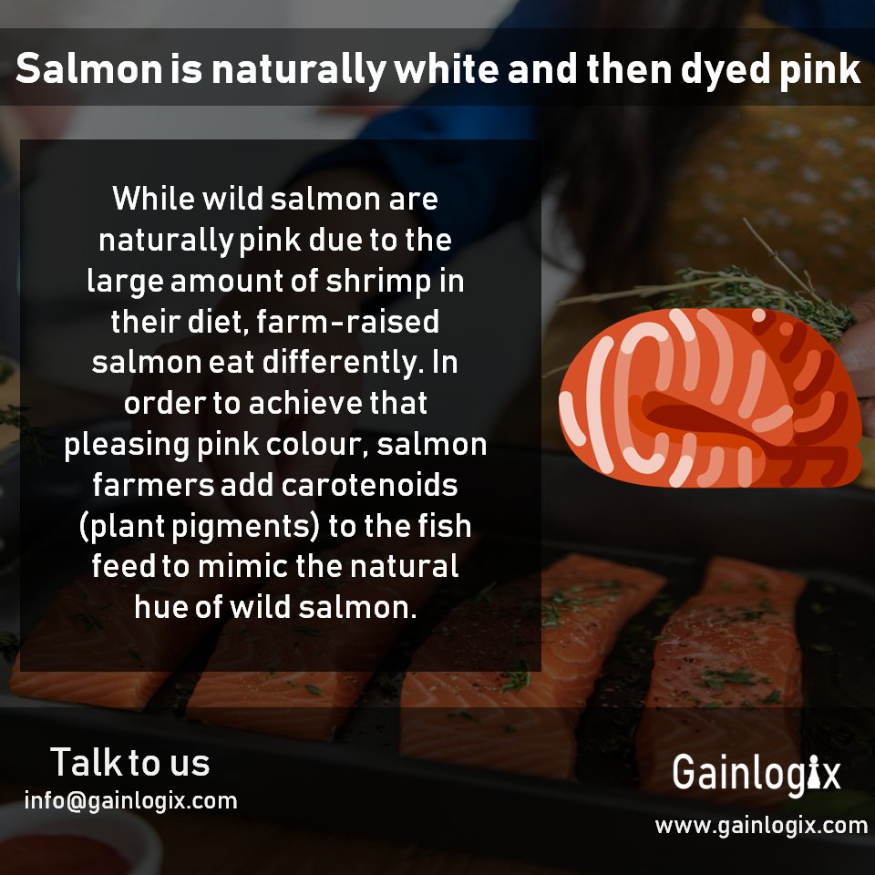 gainlogix's tweet photo. Salmon is rich in long-chain omega-3 fatty acids, which have been shown to reduce inflammation and lower blood pressure. #Digital_Restaurant #Online_Reservation #Online_Food_Ordering #WEB_Services #Digital_Marketing #Custom_App_Development #Support_and_Maintenance #Gainlogix https://t.co/H73bskIrfg