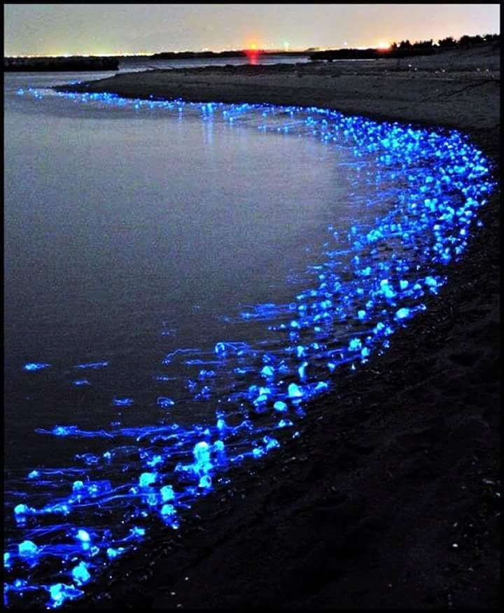 youtu.be/6AiWpnEtNGY

Sohbetimizi üstteki linkten canlı olarak dinleyebilirsiniz