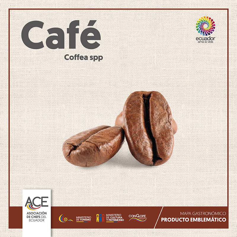 Ecuador posee casi todas las variedades de café... ¿Quieres conocer cuales son? sigue el siguiente link 👉 bit.ly/2yrgeJH
•
•
•
#ACE #Café #Coffee #asociaciondechefsdelecuador #tasteecuador #EcuadorAmaLaVida #Ecuador #plantbased #organic #lovetheearth