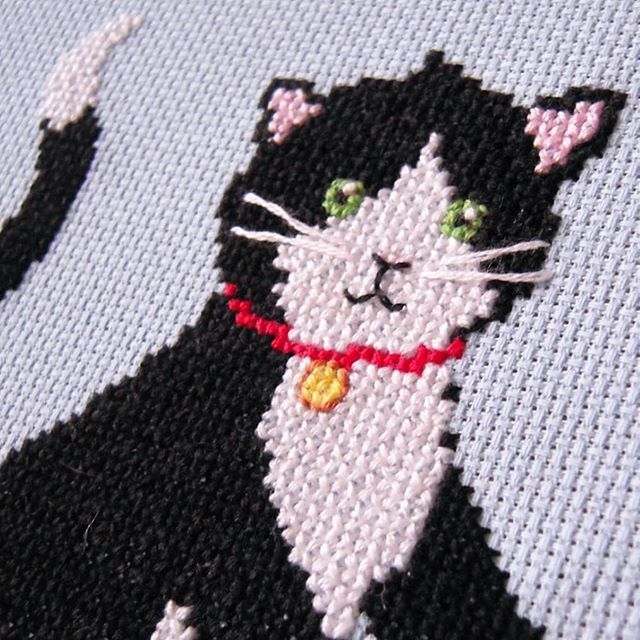 vickysworld's tweet photo. The Etsy shop is currently paw-sed (sorry cat pun!) For business but will reopen next week. You can still buy my #crossstitchpattern though if that's your thing! Kindly stitched by @yellowbirdiestitches .Here's a close up of the cycling kitty! #meowsday … https://t.co/9ChU22vtjL https://t.co/WED5XSFOnl