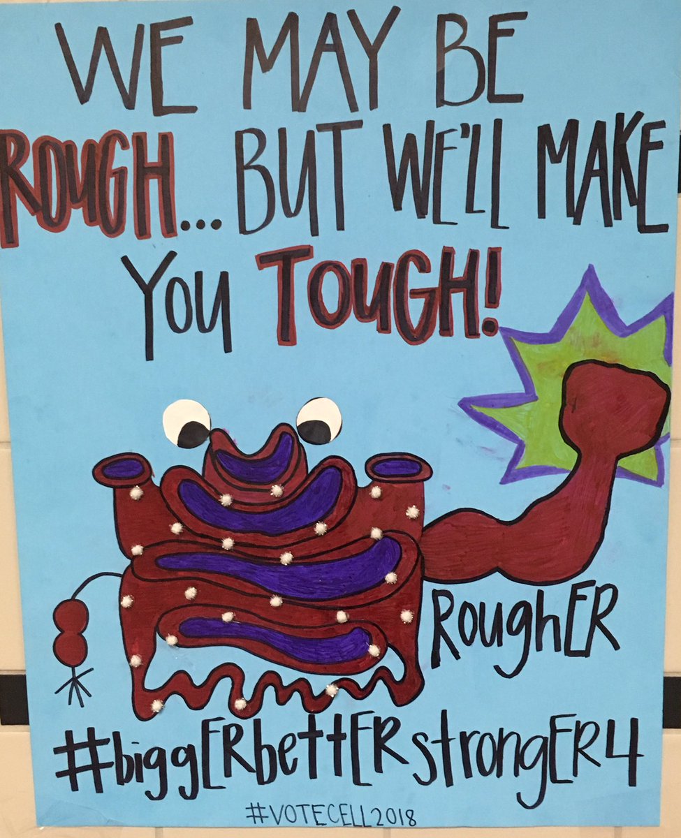 CrawfordMHS's tweet photo. #biggERbettERstrongER4
#votecell2018 https://t.co/TANjst5fNK