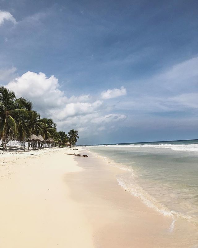 COAwatersports's tweet photo. Home . .
.
.
.
#tulum #mexico #rivieramaya #caribbean #paradise #beach #sea #ocean #kitesurf #kitesurfing #paddleboarding #watersports #heaven #travel #home #office #lifestyle #love #explore #sigh #tuesdaymotivation #beachgirl #ifnotnowwhen https://t.co/AQriqDVIjR https://t.co/wWjoGVvWqa