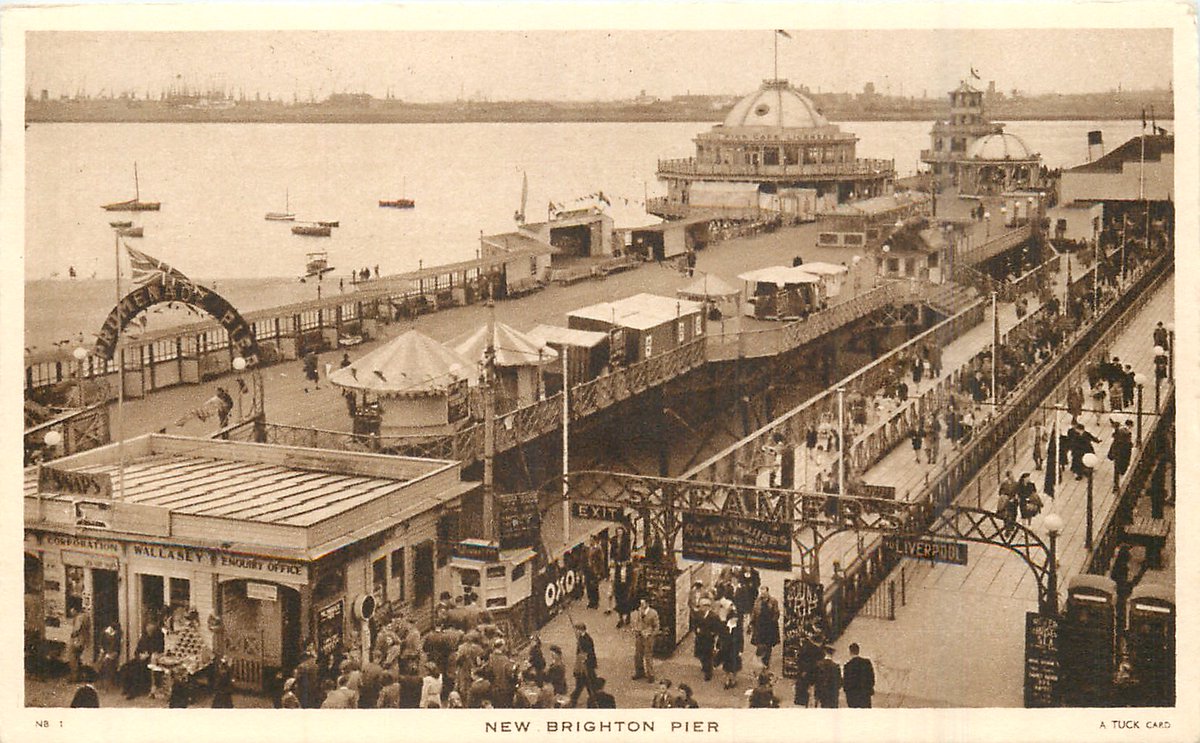 Paul Apter tweet media