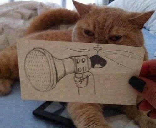 LocalH's tweet image. Calling all lunatics!!! The PACK UP THE CATS 2018 tour is in Austin. TONIGHT! Whole lotta outside agitatin’ goin’ on at the @barracudaaustin. 2 sets. No opener. Doors at 8. Show at 9. Meow, motherfucker!