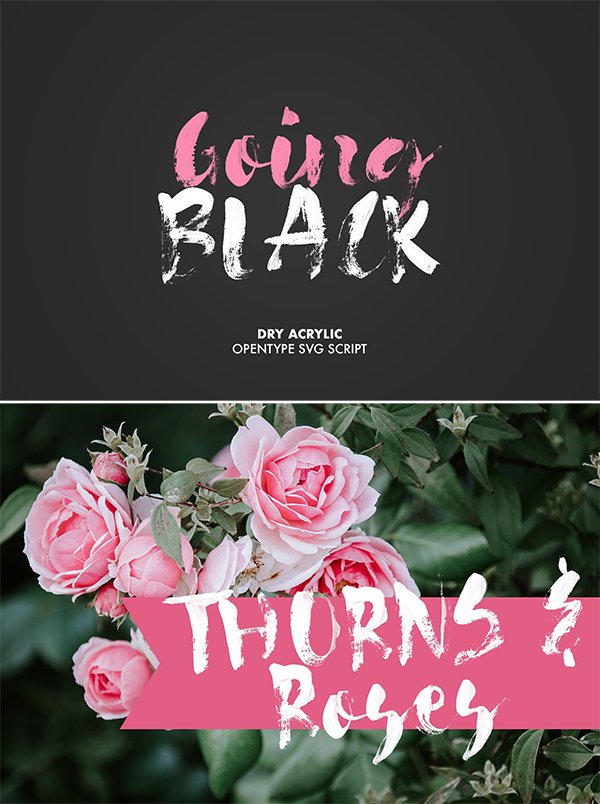 graphicdesignju's tweet photo. Vintage Style Fonts - Best Fonts 
https://t.co/fLiHXf7ZYv

#topfonts #50fonts #bestfonts #bestof2018 #fonttypography #freefonts https://t.co/UM1BdXInMG