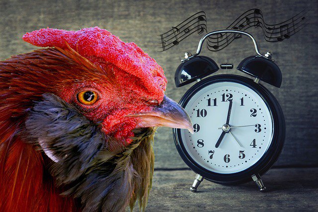 thetimedoctoruk's tweet photo. A lot of us are creatures of habit but if changing your working hours/time you get up would make you more productive, give it a try. You might find that you get much more done in the mornings when you start earlier #thetimedoctor #timemanagement #getupearlier https://t.co/OcFPSWGaQy