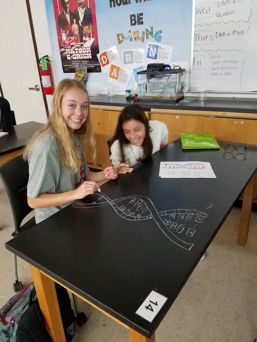 LhsDawson's tweet photo. I remember when I was in biology and my teacher said, "Draw this DNA strand on your desk, then post it on Padlet." Followed by, " Now let's build 3D models and use them to go through transcription. "  Wait, no.  That never happened.  It does now in Ms. Sharp's class. #D128DARING https://t.co/eKYa8JQg58