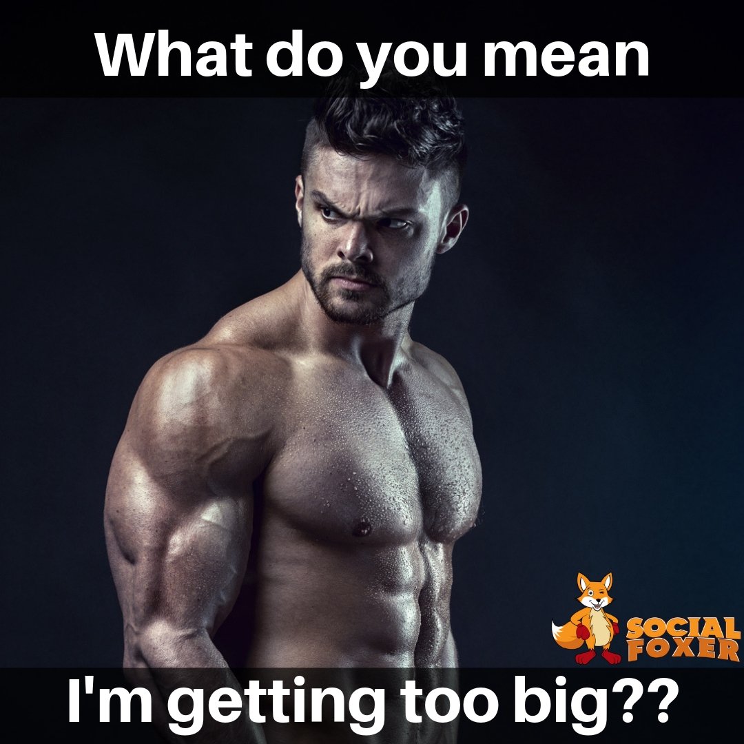 socialfoxer's tweet photo. There's no such thing as "too big" https://t.co/QMiOVgnc60