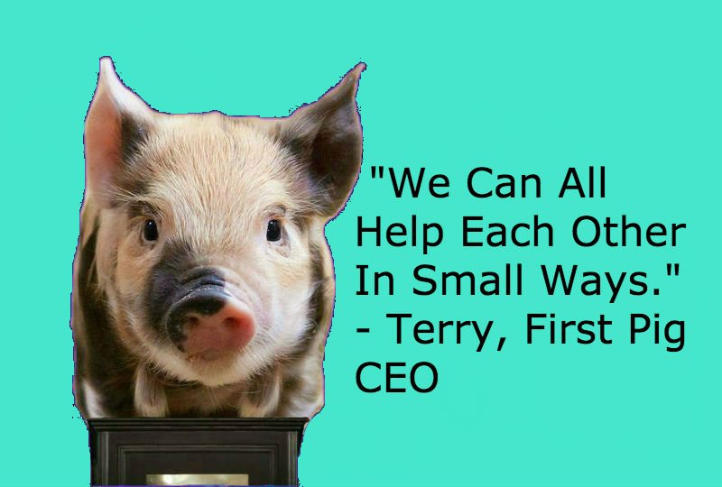 Pig_CEO's tweet photo. There Is No Excuse. For Not Doing The Best You Can. #Farm #Life #Conference #FarmLifeConference #Barnyard #Pals #BarnyardPals https://t.co/9cwjC5omj3