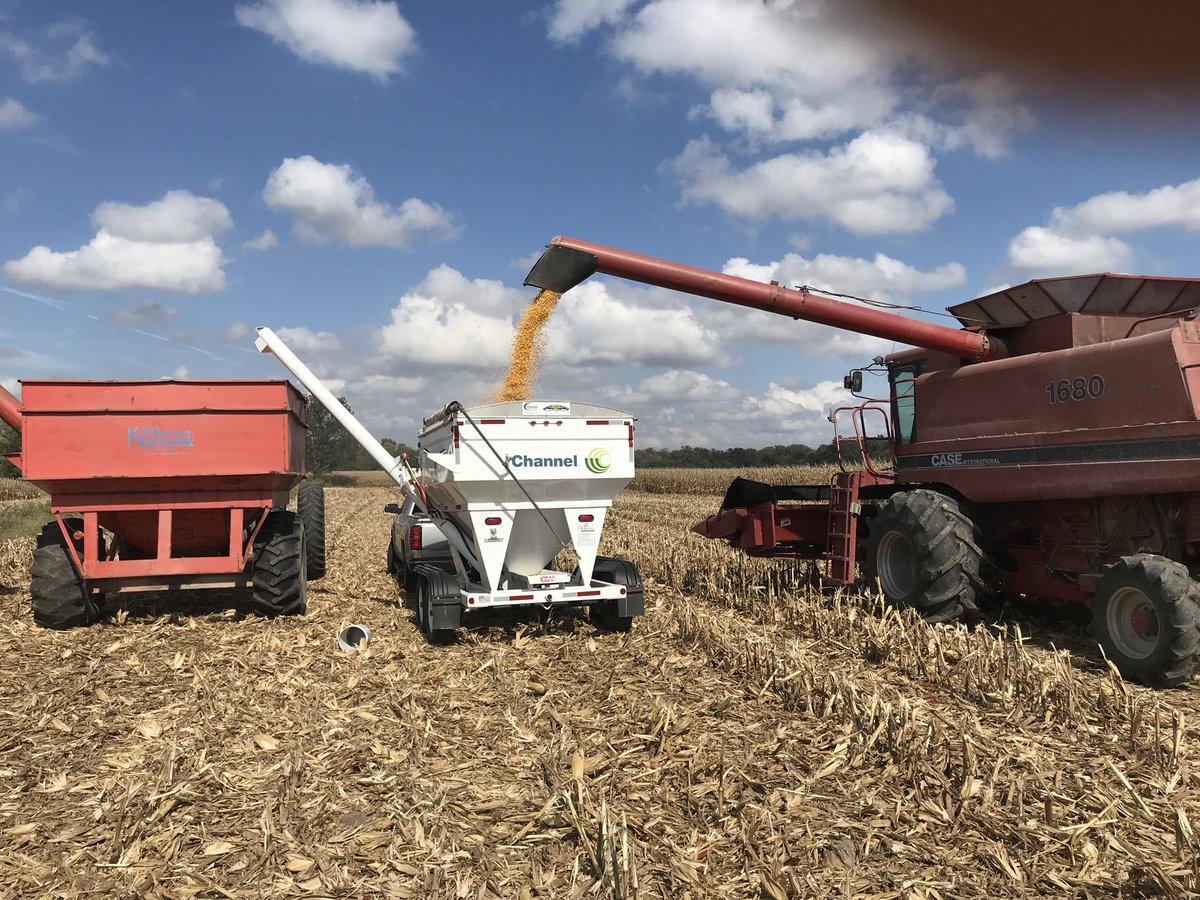 Brian Rudolphi tweet media