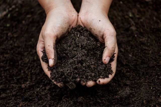 Our Dirty Secret: Soil is on the Endangered List bit.ly/2xVR32I <a href="/VictorFriedberg/">Victor Friedberg</a> <a href="/FoodShotGlobal/">FoodShotGlobal</a> #foodtech #agtech