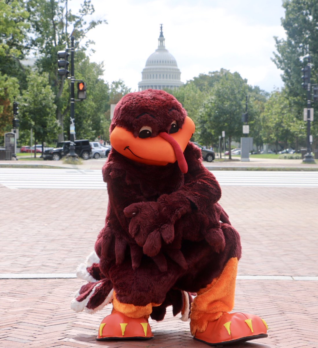 Hey #Hokies! 👋 You can catch us all over D.C. now. Stay tuned to find out what we’re up to. 🤫 🦃 #VTinDC