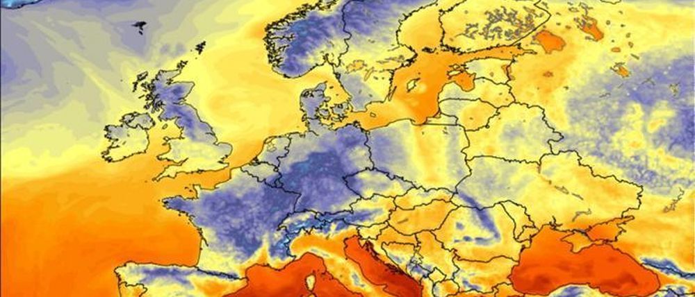 nevasport tweet media