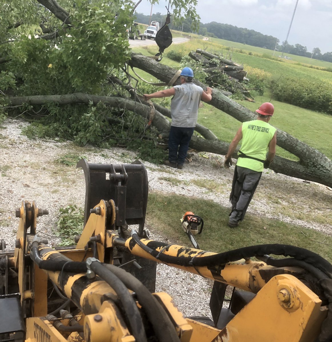 Waynes_TreeServ's tweet image. Wayne&apos;s Tree Service is specially trained to clear trees and limbs off electrical lines in oil fields, farm grounds, consumer lines, as well as residential or commercial lines, to minimize electrical outages and overtime paid to maintain electrical functioning.
