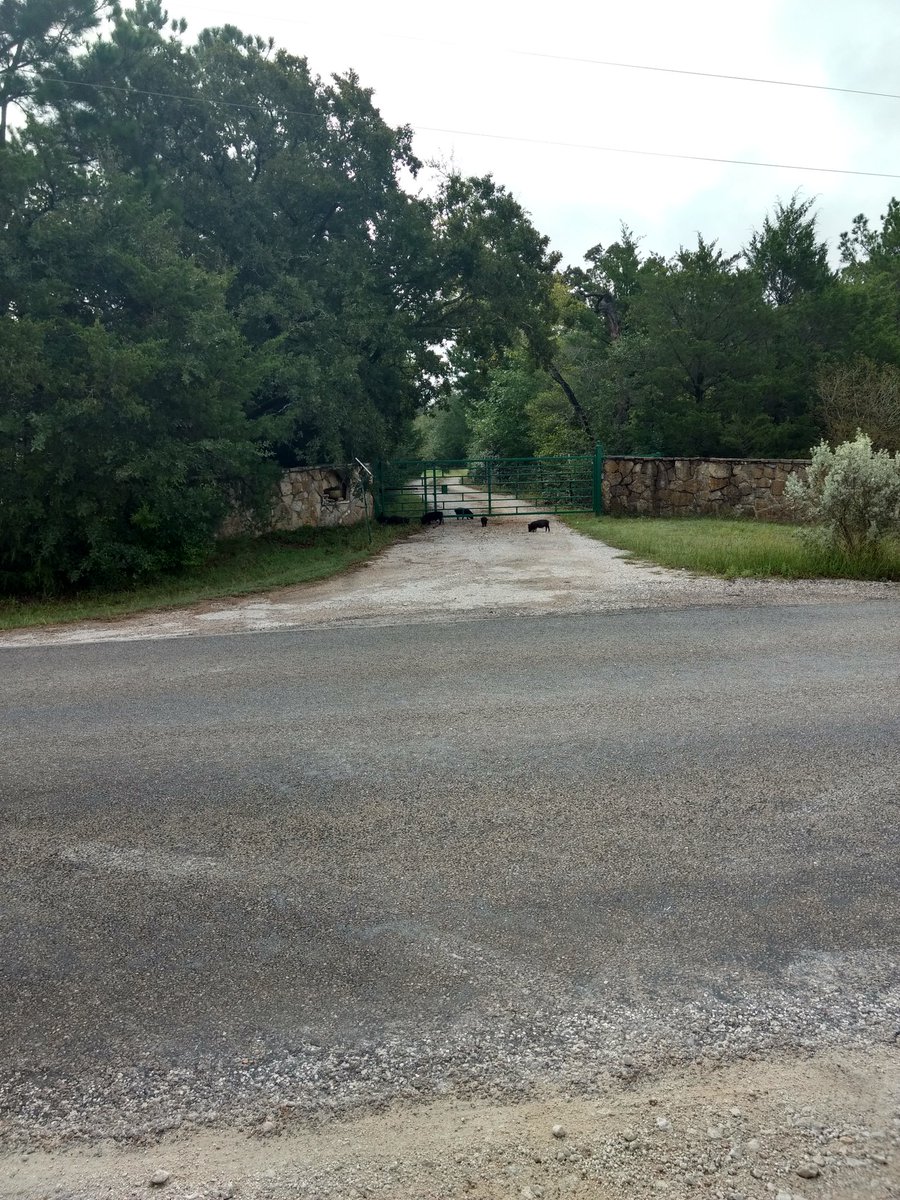 Jake Mowrer tweet media