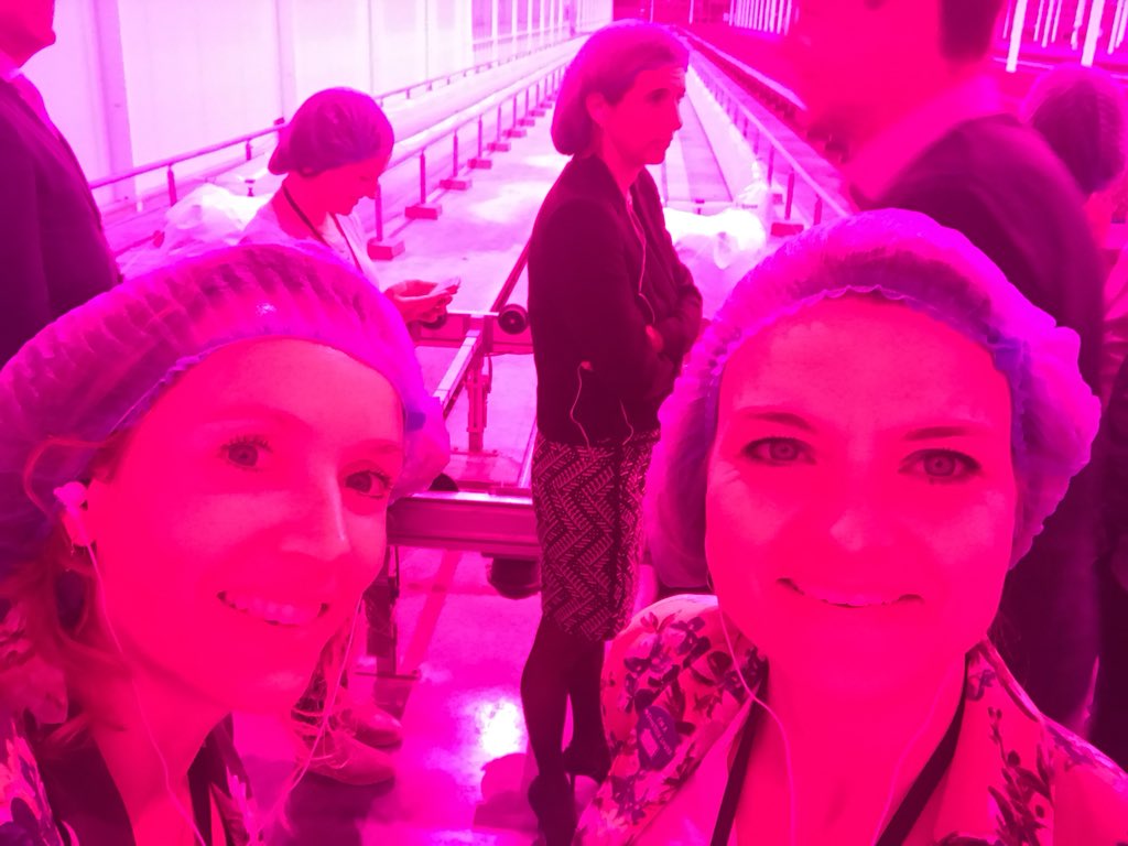 FabienneGram's tweet photo. Wat zegt mijn #DNA over mijn voedingsbehoefte? #versplus #dineropmaat @koppertcress heerlijk diner, goed initiatief! Dit is de toekomst! #HortiHeroes https://t.co/Ua3rKgKlqf