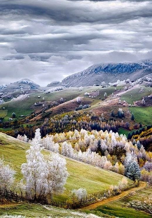 sevket_uysal (@mendil1uysal) on Twitter photo 