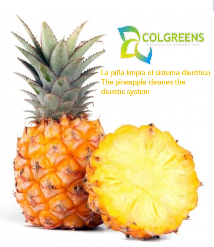 COLGREENS's tweet photo. La piña ayuda hasta para el sistema diurético/ the pineapple help the diuretic system 
#sistemadiuretico #diureticsystem #piña #pineapple #oromiel #golden #piñaoromiel #goldenpineapple #colombia #colgreens #colombiangreenssas #tolima #ibague https://t.co/Rh82nKCbBc