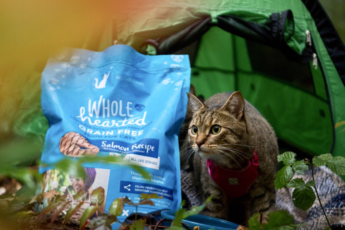 boltandkeel's tweet photo. Thanks to Wholehearted Pet food for fueling our adventures! You can now find Wholeheared, a grain free pet food at @CanadianTire #ad https://t.co/I6p2Qqz1tl