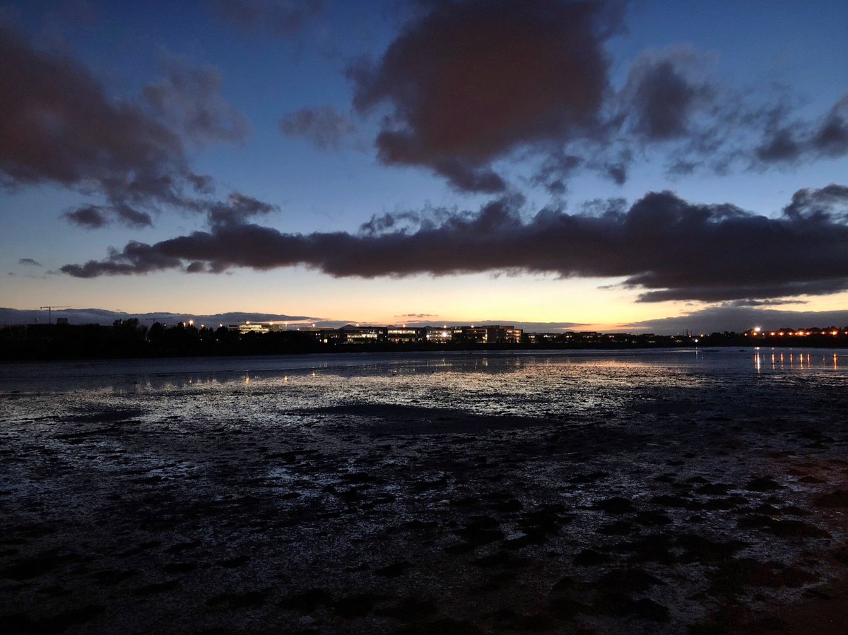 osullsean's tweet image. 