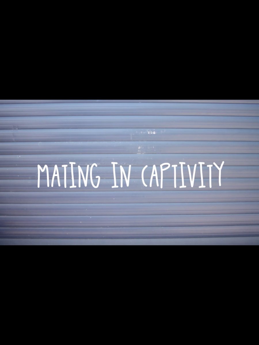 ghost_guilt's tweet photo. Our video is up tomorrow and our new EP is out this Friday on punk legends @ESmusicLDN β€οΈπ€β€οΈπ€β #updapunx https://t.co/fWmcfhltgN
