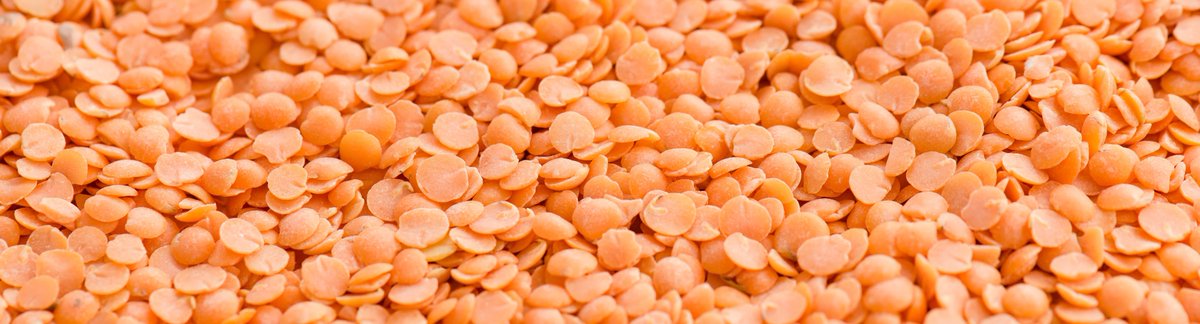 Canada in Chicago tweet media