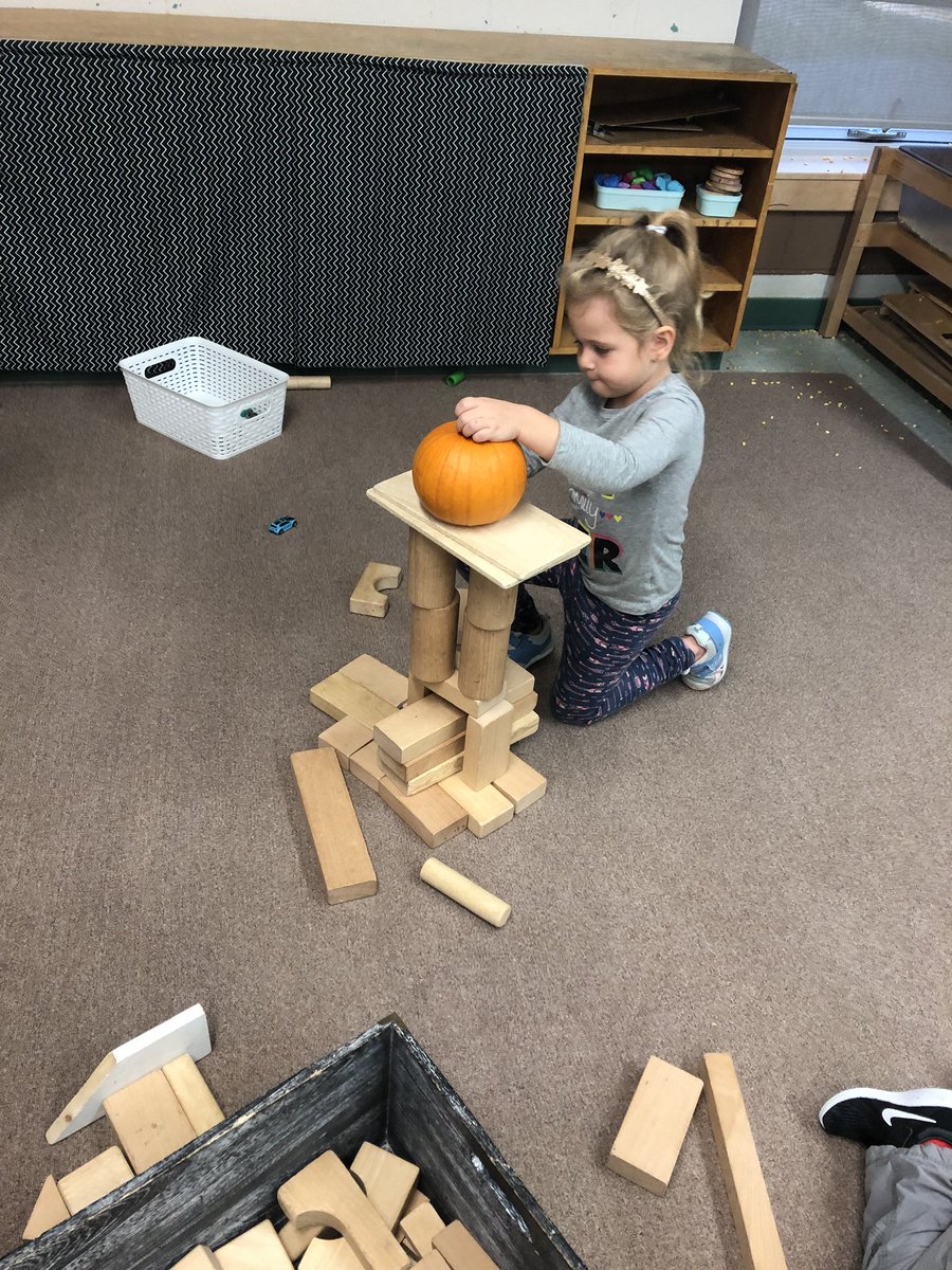 MissTJermey's tweet photo. Some fun new fall provocations ! #wolveswonder #wolveslearn #tldsblearns @WoodvilleES https://t.co/plQ3h0C0Lm