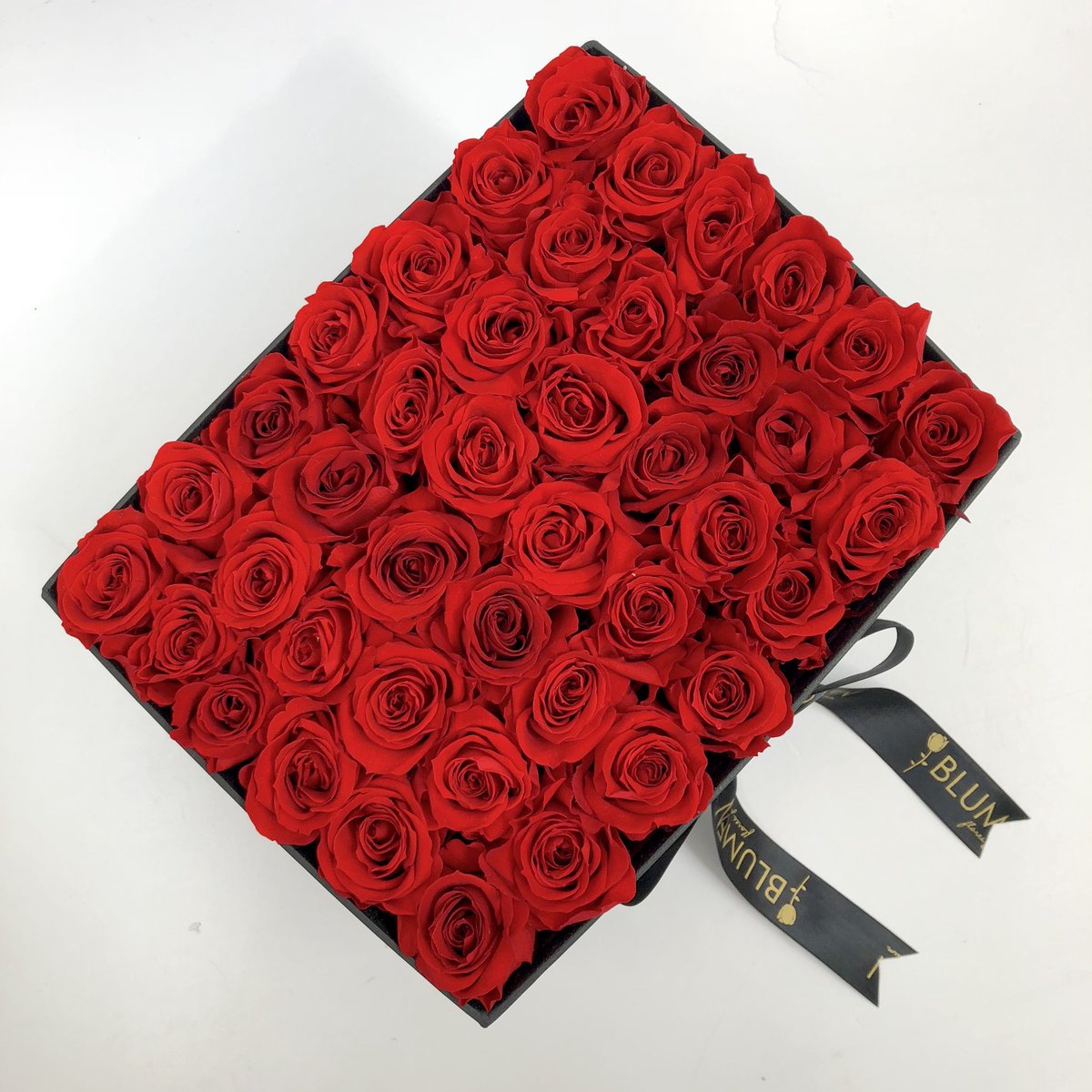 blumenecuador's tweet photo. Muy bellas son las mini rosas BLUMEN y adornando un #BLUMENbox es el detalle perfecto para las ocasiones más importantes ✨🌹✨
¡Vive la experiencia BLUMEN!.
📱WhatsApp 0990061071 .
#BlumenEcuador #flores #florespreservadas #rosaspreservadas #regalos #romance #roses #elegant https://t.co/18MvDwtpG4